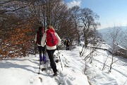 85 In vista dei Tre Faggi